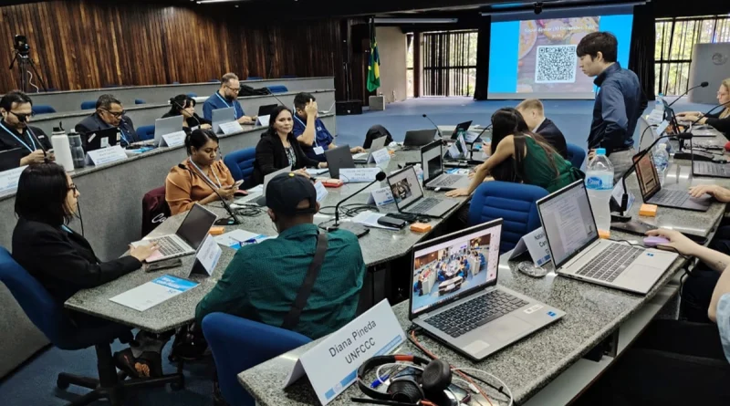 marena, onu, medioambiente,