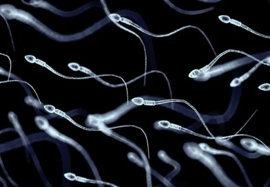 espermatozoides, Europa, mutación, donante d esperma, niños, desarrollar cáncer,