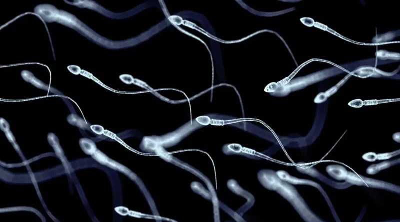 espermatozoides, Europa, mutación, donante d esperma, niños, desarrollar cáncer,