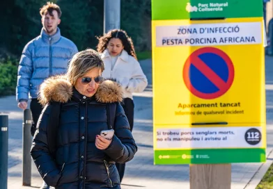 España, brote, este porcina africana, PPA, enfermedad animal,