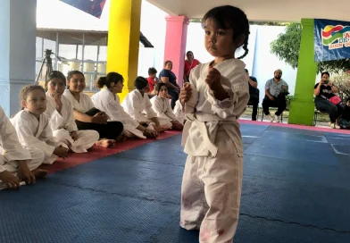 deporte, nicaragua, gobierno sandinista, leones azules, academia de karate,