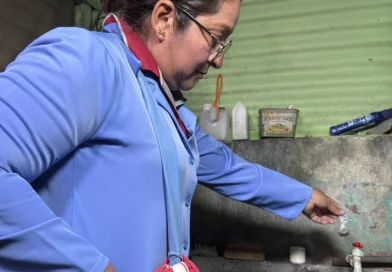 nicaragua, minsa, jornada de fumigacion, managua, zancudo,