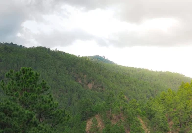 ineter, nicaragua, vientos, ambiente caluroso, altas presiones, clima de nicaragua, 15 de enero de 2026, frente frío, nicaragua