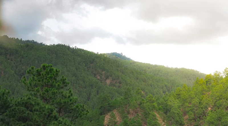 ineter, nicaragua, vientos, ambiente caluroso, altas presiones, clima de nicaragua, 15 de enero de 2026, frente frío, nicaragua