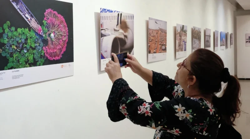 nicaragua, Gobierno Sandinista, mosca, fotoperiodismo, concurso,