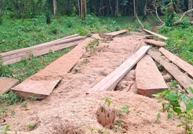 ejército de nicaragua, nueva guinea, costa caribe sur, tala ilegal, madera ilegal, medioambiente, operativo militar, recursos naturales, motosierras, seguridad nacional, 5 comando regional, nicaragua