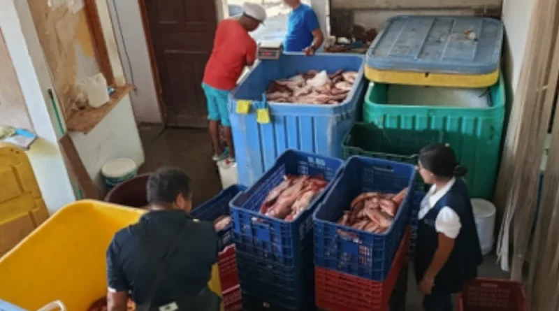 chihnandega, nicaragüa, inpesca, inspeccion pesqauera,