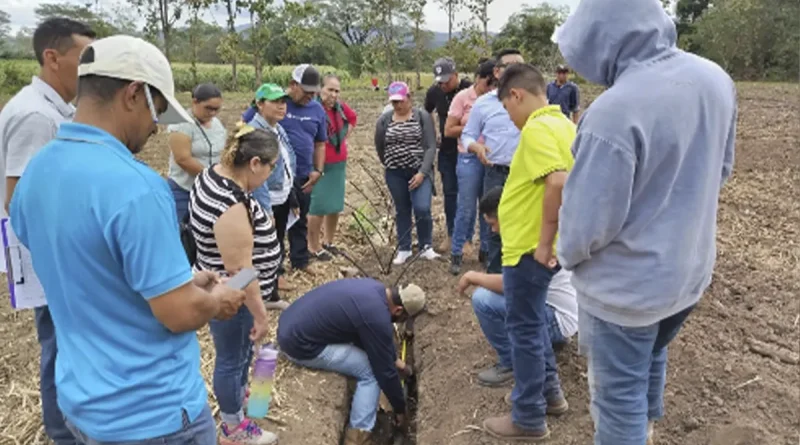 nicaragua, león, inta, productores
