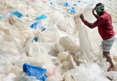 reciclaje, plástico, estudio, impacto, medio ambiente, salud,