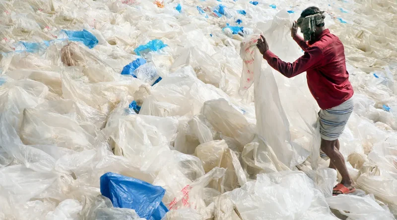 reciclaje, plástico, estudio, impacto, medio ambiente, salud,