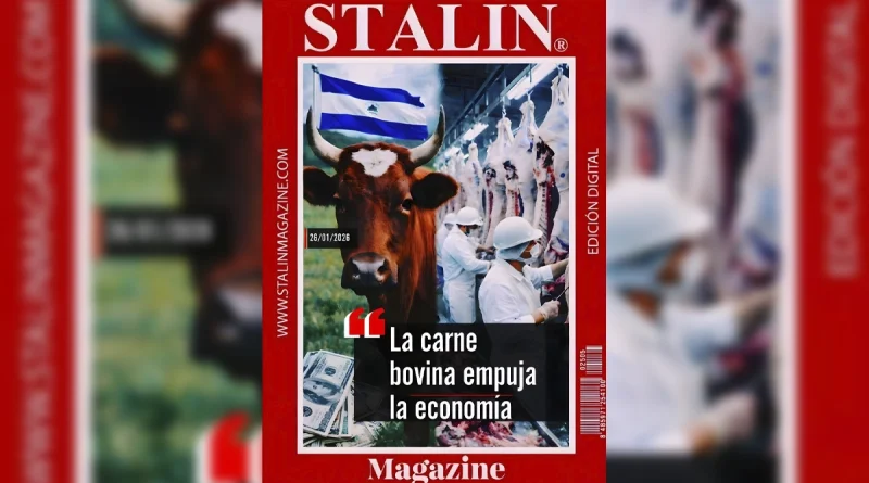 opinion, carne bovina, economia, nicaragua,