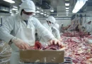 carne bovina, Nicaragua, producción de carne, 2025, seguridad alimentaria,