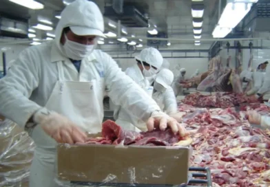 carne bovina, Nicaragua, producción de carne, 2025, seguridad alimentaria,