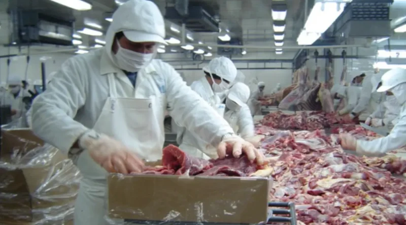 carne bovina, Nicaragua, producción de carne, 2025, seguridad alimentaria,