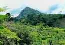 bosques, boaco, marena, reforestación, ecosistemas, naturaleza, regeneración, árboles, conservación, teustepe, gobierno de nicaragua, nicaragua