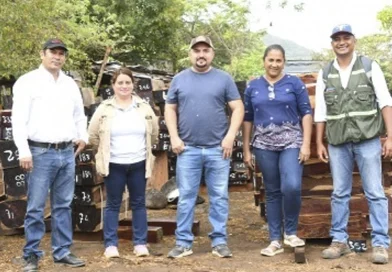 marena, nicaragua, chontales, forestal, medioambiente,