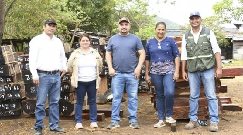 marena, nicaragua, chontales, forestal, medioambiente,