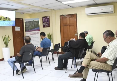 nicaragua, marena, ciudadanos, marena