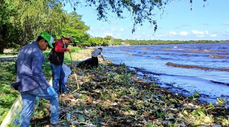 marena, limpieza, lago cocibolca, granada,