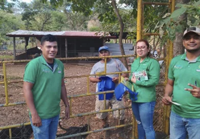 nicaragua, marena, incendios forestales, agropecuarios,