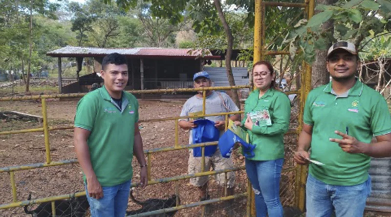 nicaragua, marena, incendios forestales, agropecuarios,