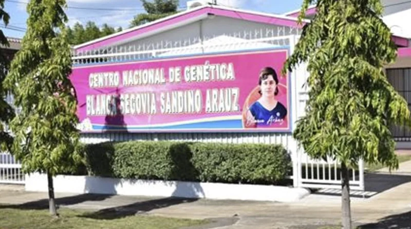 nicaragua, centro nacional, genética, ministerio de salud