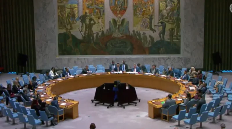 ONU, Nicaragua, Palestina, solidaridad,