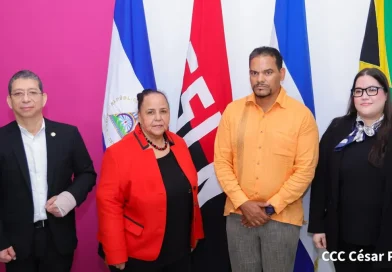 Nicaragua, delegación de Sudáfrica, recibe, llega, cooperación fortalecer lazos de amistad,