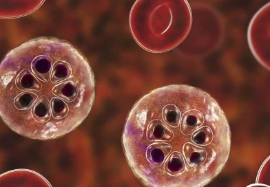 malaria, leptospirosis, minsa, casos confirmados,