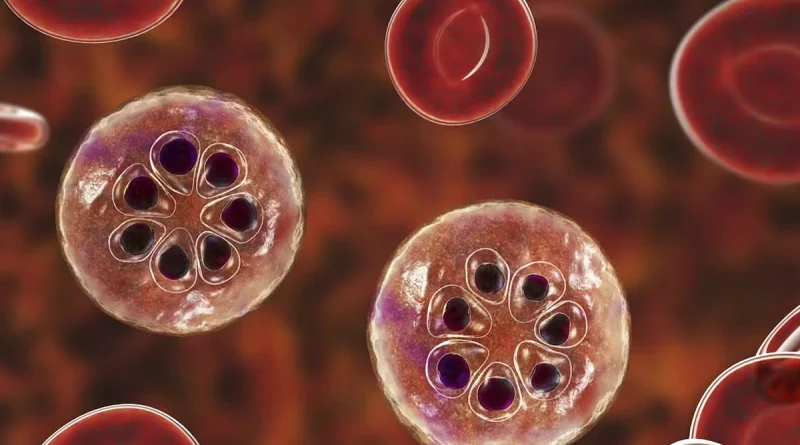 malaria, leptospirosis, minsa, casos confirmados,