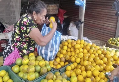 naranja ducle, nicaragua, ministerio agropecuario, produccion, economia,