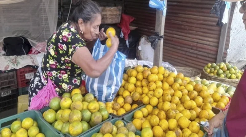 naranja ducle, nicaragua, ministerio agropecuario, produccion, economia,