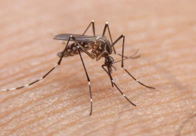 nicaragua, minsa, situación epidemiologica