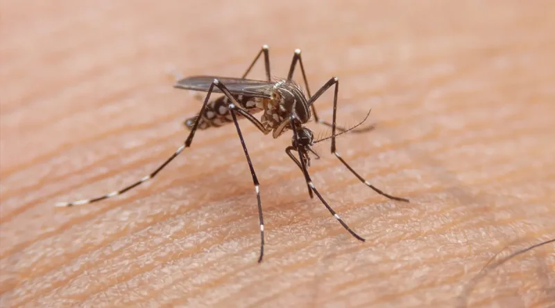 nicaragua, minsa, situación epidemiologica