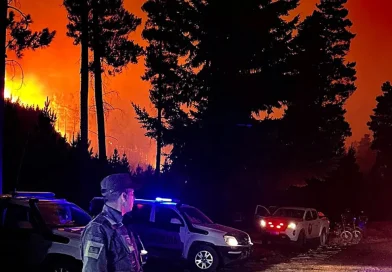 Argentina, incendios, incendio forestal, Patagonia argentina,