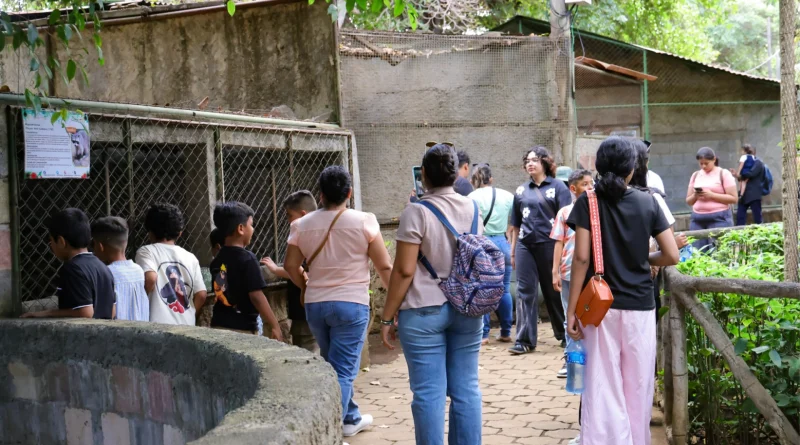zoologico nacional, tutismo, aprendizaje, convivencia familiar, nicaragua, managua,