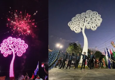 carazo, nicaragua, diriamba, arboles de la vida, pueblo presidente,