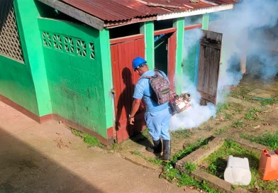 salud, dengue, malaria, bilwi, costa caribe, nicaragua, nicaragua,