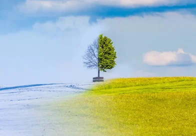 científicos, clima, organización, caluroso, calido, frio, clima, 2026, tiempo,