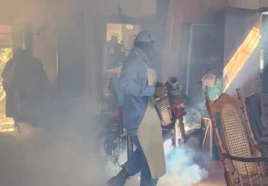 minsa, managua, nicaragua, antiepidemicas, fumigacion, abatizacion,