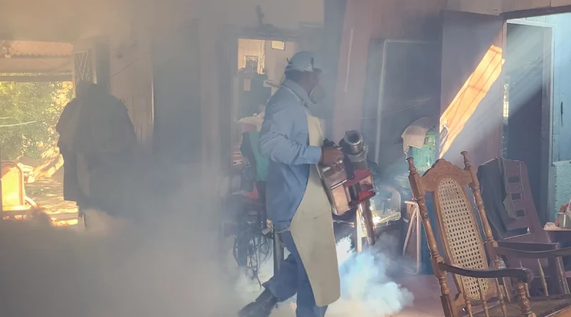 minsa, managua, nicaragua, antiepidemicas, fumigacion, abatizacion,