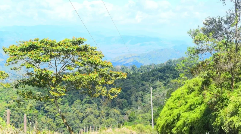 clima en nicaragua, calor intenso, nicaragua, ineter, temperaturas, viento fuerte, lluvias en caribe y central, pronóstico del tiempo, altas presiones, 20 de febrero de 2026