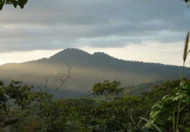 nicaragua, asamblea nacional, madre tierra, declaración