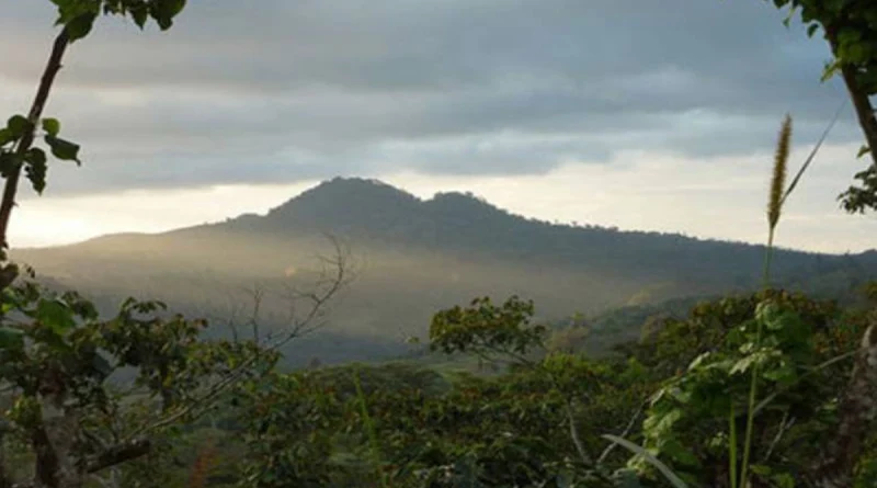 nicaragua, asamblea nacional, madre tierra, declaración