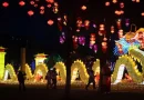 china, año nuevo, celebraciones
