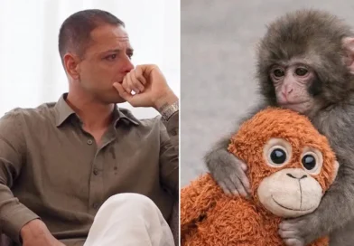 Chicharito, punchm futbolista mexicano, mono, mono bebé, llora, chicharito llora, Javier Hernández,