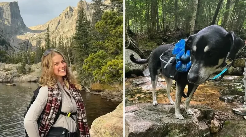 excursionista, muere, Nueva York, pico más alto, congelada, Nueva Jersey, muere congelada, fiel perro, esperaba a su lado,