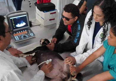 hospital veterinario, una managua, atención gratuita, salud animal, mascotas nicaragua, veterinaria pública, emergencias veterinarias, desparasitación perros y gatos, revista en vivo, 16 de febrero de 2026, nicaragua