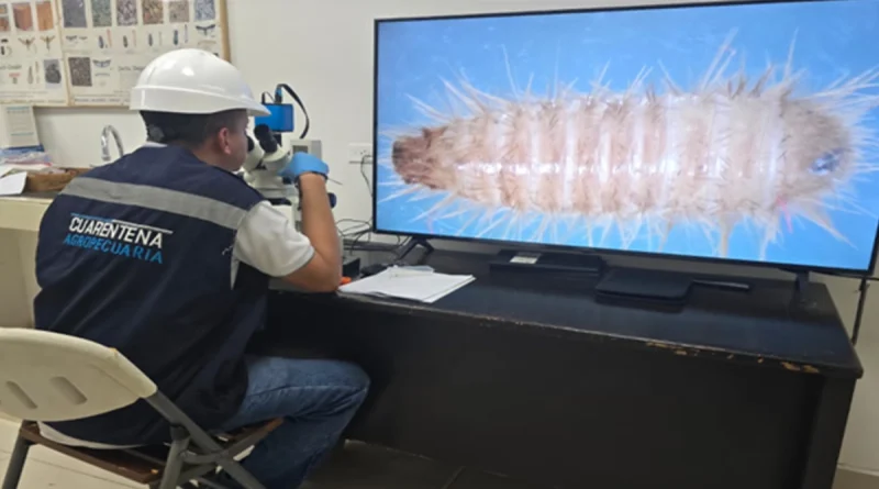 ipsa nicaragua, sanidad agropecuaria, cuarentena agropecuaria, patrimonio agropecuario, soberanía alimentaria, control fitosanitario, fronteras nicaragua, plagas y enfermedades, producción agropecuaria, inspección sanitaria