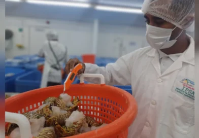 ipsa, Nicaragua, gobierno de Nicaragua, costa caribe, Nicaragua,